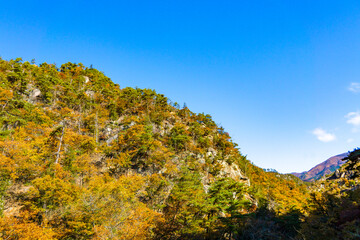 Naklejka premium 昇仙峡の山肌 秋色に染まる