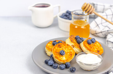 Homemade cheesecakes on a gray bowl with fresh blueberries and honey on a light background with space for text