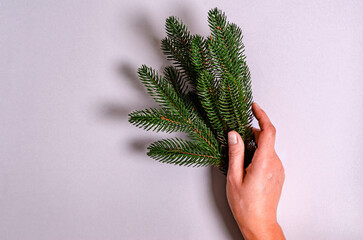 Fir Christmas branches in a female hand on a gray background with a place for text.