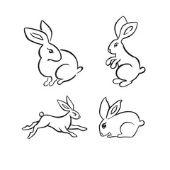 Set of linear hares graphic and illustration vector