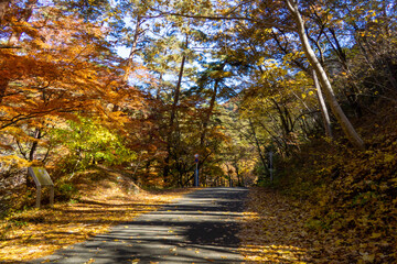 昇仙峡の遊歩道　秋の彩り