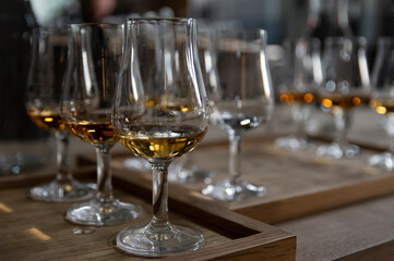Whiskey tasting glasses arranged on a wooden tray