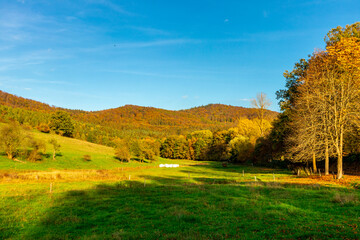 Spaziergang durch den herrlichen Sonnenschein an einen Herbsttag bei Steinbach-Hallenberg -...