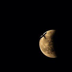 full moon in the night