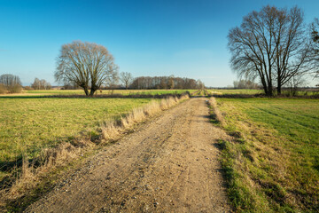 Fototapeta na wymiar Unpaved road between meadows and trees, picturesque eastern Poland