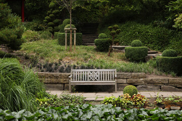 Beautiful view of park with bench and green plants