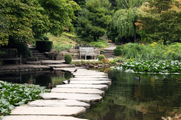 Fototapeta na wymiar Beautiful view of park with pond, stone pathway and green plants