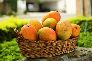 Delicious fresh ripe mangos in basket outdoors