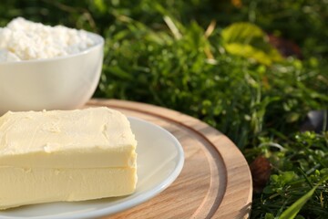 Wooden tray with tasty homemade butter and dairy products on grass outdoors, closeup. Space for text