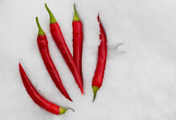 Red chili peppers, hot and spicy kitchen ingredient on white background.