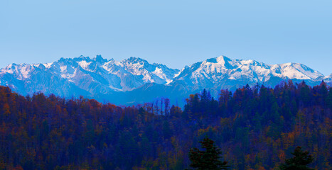 Panoramic view of snowy  mountains and colorful forest