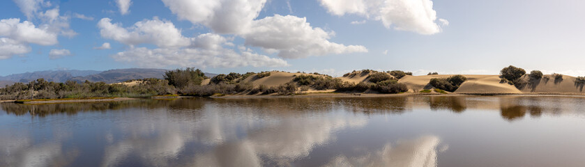 Gran canaria , Maspalomas, sand dunes panorama