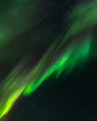 Obraz na płótnie Canvas Aurora Borealis / Northern Lights at night, North Iceland Green and Red Aurora 1