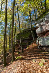 Hohler Felsen bei Dahn im Pfälzerwald im Herbst