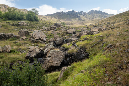 Small stream in the Shebenik-Jabllanic&euml; National Park east of Maja e Shebenikut, Albania