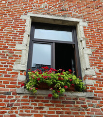 Fototapeta na wymiar window on brick house and flowered sill with geranium plants