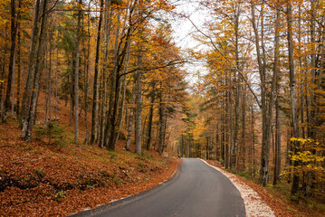 Naklejka na ściany i meble Hiking through the Vrata valley in autumn, Triglav National Park in Slovenia