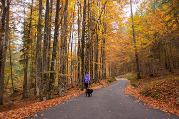 Obraz premium Hiking through the Vrata valley in autumn, Triglav National Park in Slovenia