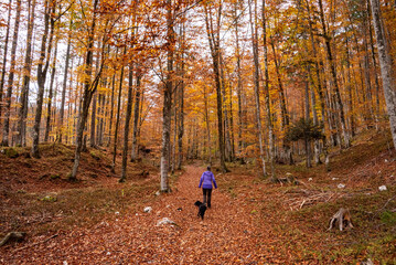 Fototapeta premium Hiking through the Vrata valley in autumn, Triglav National Park in Slovenia
