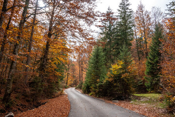 Hiking through the Vrata valley in autumn, Triglav National Park in Slovenia