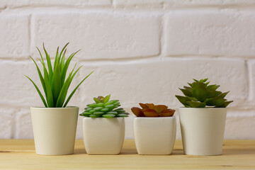 Indoor artificial plants, various succulents in pots. Succulents in white mini-pots. Ideas for home decoration.Copy space .