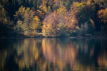 Fototapeta premium Scenic tree reflections at the coast of Lake Bohinj in the Triglav National Park, The Julian Alps in Slovenia
