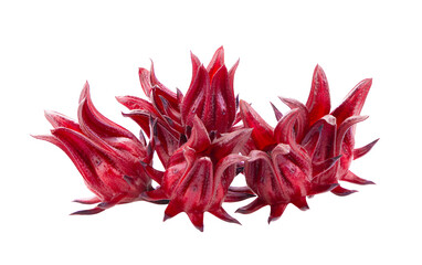 Roselle hibiscus on transparent png © supamas
