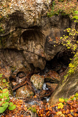 A stream flowing through the beautiful Mostnica Gorge in the Triglav National Park, located in the Julian Alps of Slovenia