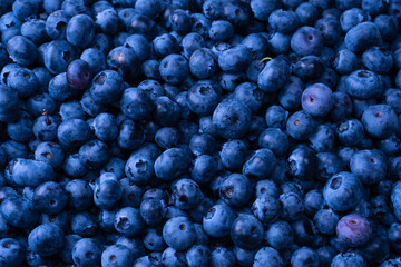 Fresh blueberry background. Texture blueberry berries close up.