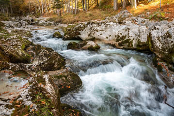 Fototapeta na wymiar A stream flowing through the beautiful Mostnica Gorge in the Triglav National Park, located in the Julian Alps of Slovenia