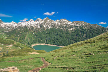 Fototapete bei efototapeten.de bestellen   