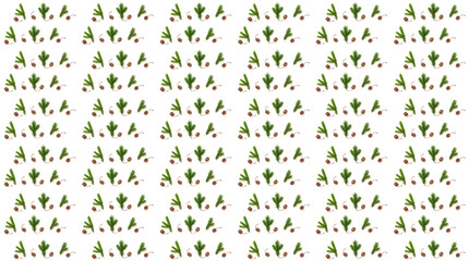 Christmas pattern of fir branches and sequoia cones on white background. Wonder of natural design.Gift wrapping paper design. Creative copy space