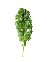 Kale isolated on transparent png