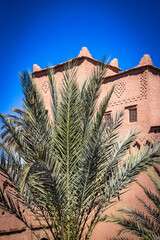 Fototapeta na wymiar kasbah amridil, skoura, morocco, route of the 1000 kasbahs, north africa, palm trees