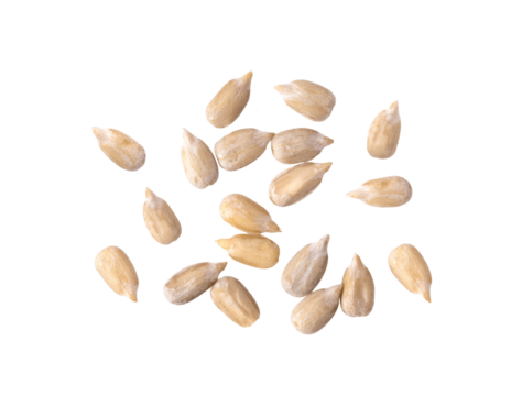 Peeled Sunflower seeds isolated on transparent png