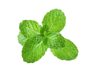 Fresh mint leaves on transparent png © supamas