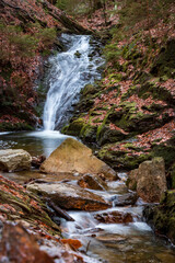 Fototapeta premium waterfall in the forest