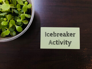 icebreaker activity