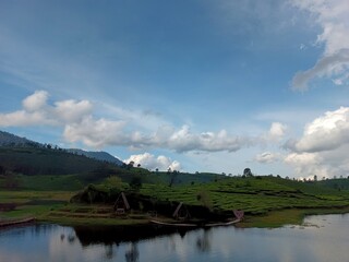 view of a lake and tea plantations