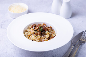 Risotto with porcini mushrooms. Traditional Italian dish. Close-up, horizontal orientation.