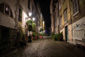 Scenic little Krizevniska alley in Ljubljana illuminated at night, arranged with plants at the sides