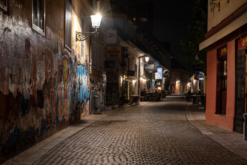 Fototapeta na wymiar Scenic abandoned alley Trubarjeva in the city center of Ljubljana at night