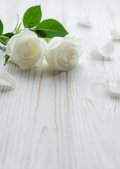 Obraz na płótnie Canvas White roses on a wooden table