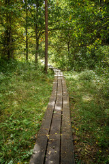 Obraz premium country gravel road in perspective