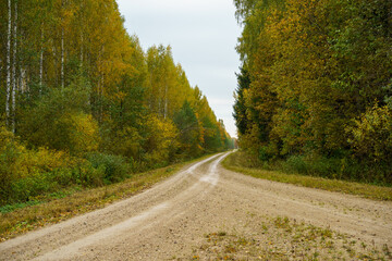 Fototapeta premium country gravel road in perspective