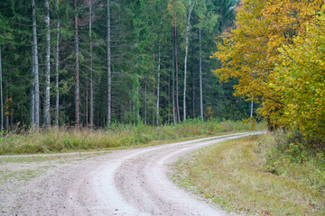 country gravel road in perspective