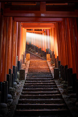 Fototapeta premium Fushimi Inari Shrine