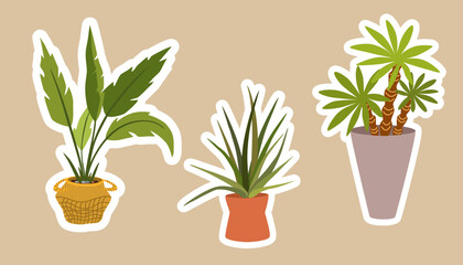 House plants stickers. Set of hygge tropical patee succulent plants stickers. Cozy lagom style collection of plants in cartoon style. Hand draw vector bundle.