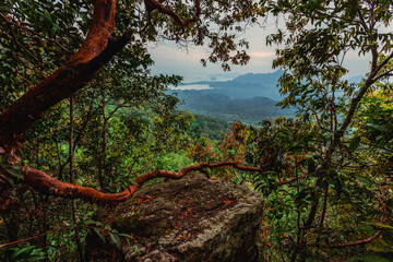Natural background, high angle from the high mountains that can see the scenery around, the wind blows through the cool, blurred of traveling, the integrity of the moist forest.