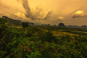Naklejka premium Natural background, high angle from the high mountains that can see the scenery around, the wind blows through the cool, blurred of traveling, the integrity of the moist forest.